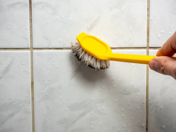 Best Toxic Mold Removal  in Sikeston, MO