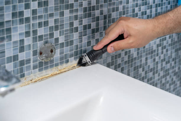 Best Mold Removal Near Me  in Sikeston, MO